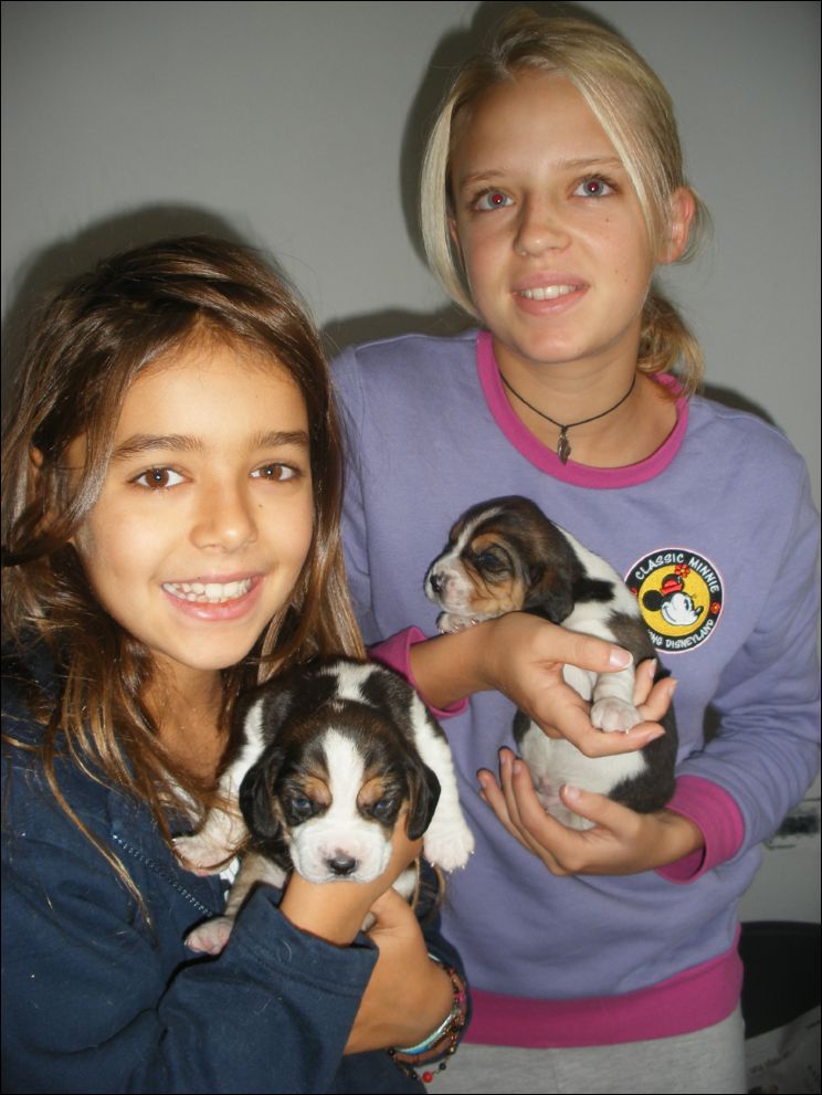 cuccioli amelie-26